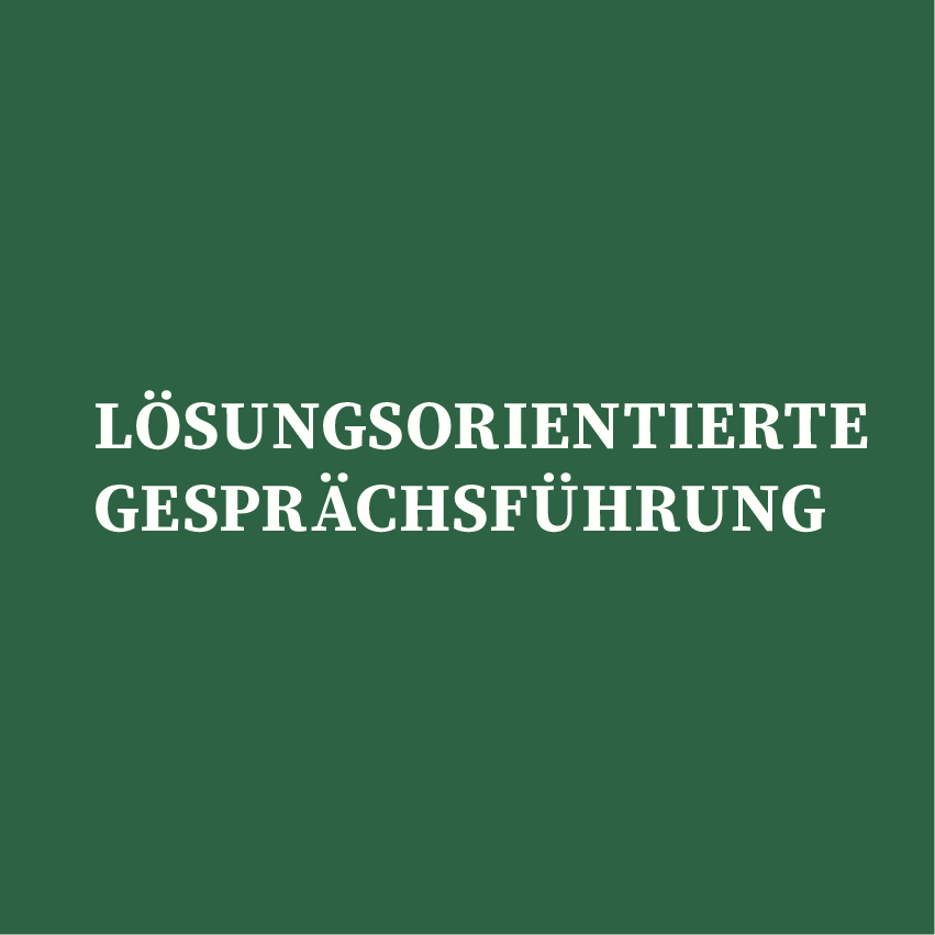 Birgit Beck Lösungsorientierte Gesprächsführung